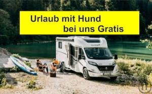 Wohnmobil  t338
