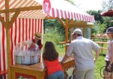 Popcornstand / Zuckerwattestand
