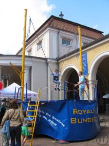 Royal Bungee / Bungee Trampoline