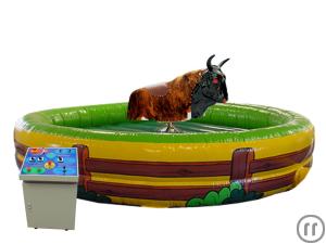 Bullriding / Rodeo Bulle / Bull-Riding inkl. Personal