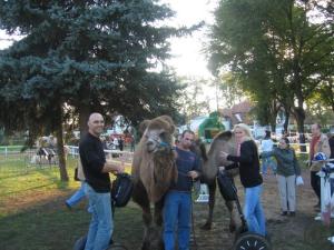 3-Segway Events