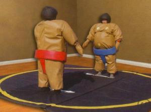 1-SUMO RINGEN