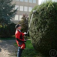 Benzin-Heckenschere für hohe Hecken