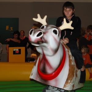 2-Rentierrodeo - das Bullriding zu Weihnachten inkl. 19% MwSt.