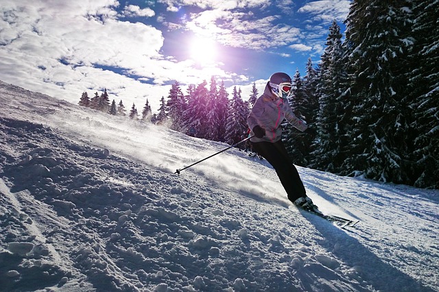 Ski, Skistöcke