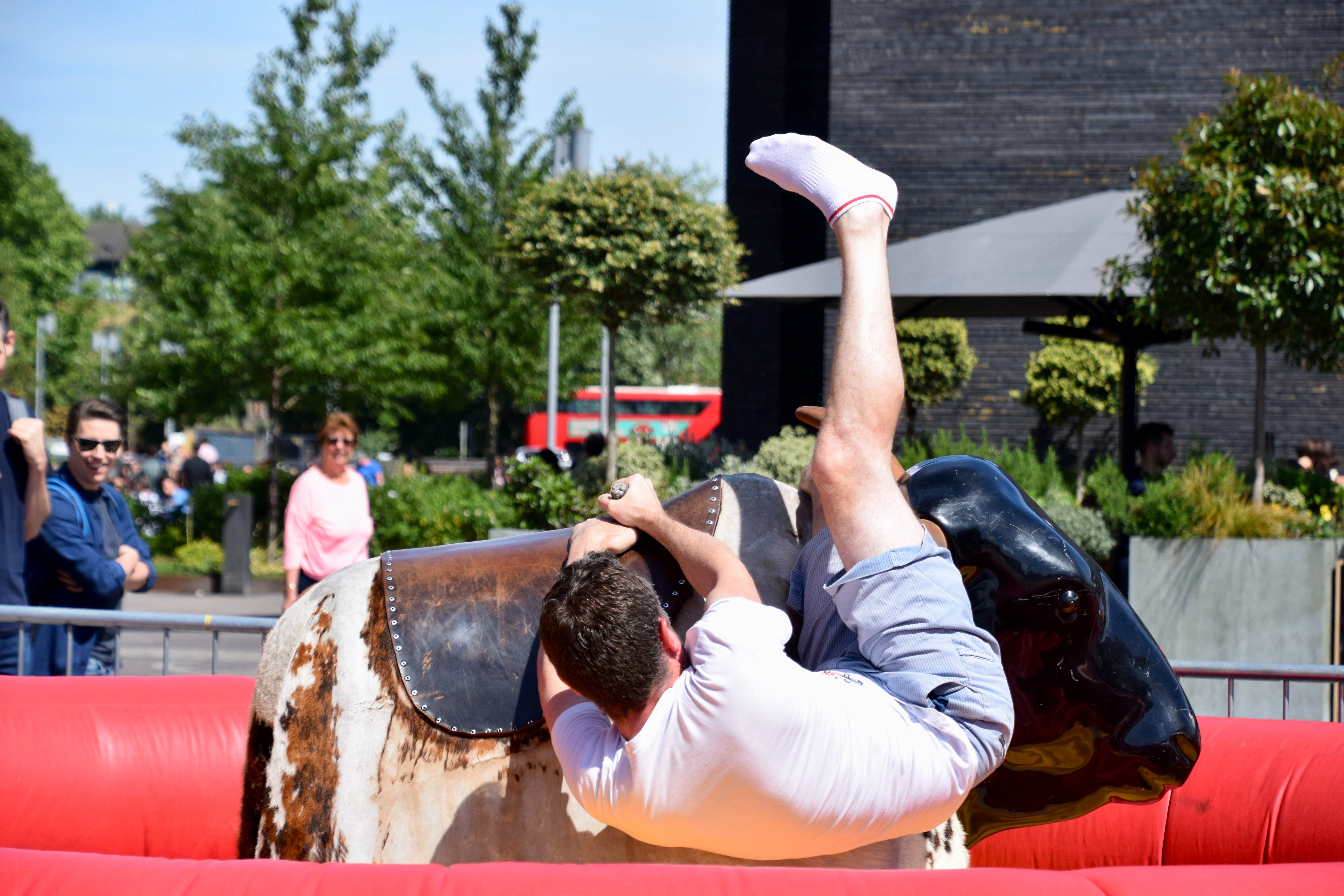 Bullriding, Rodeo